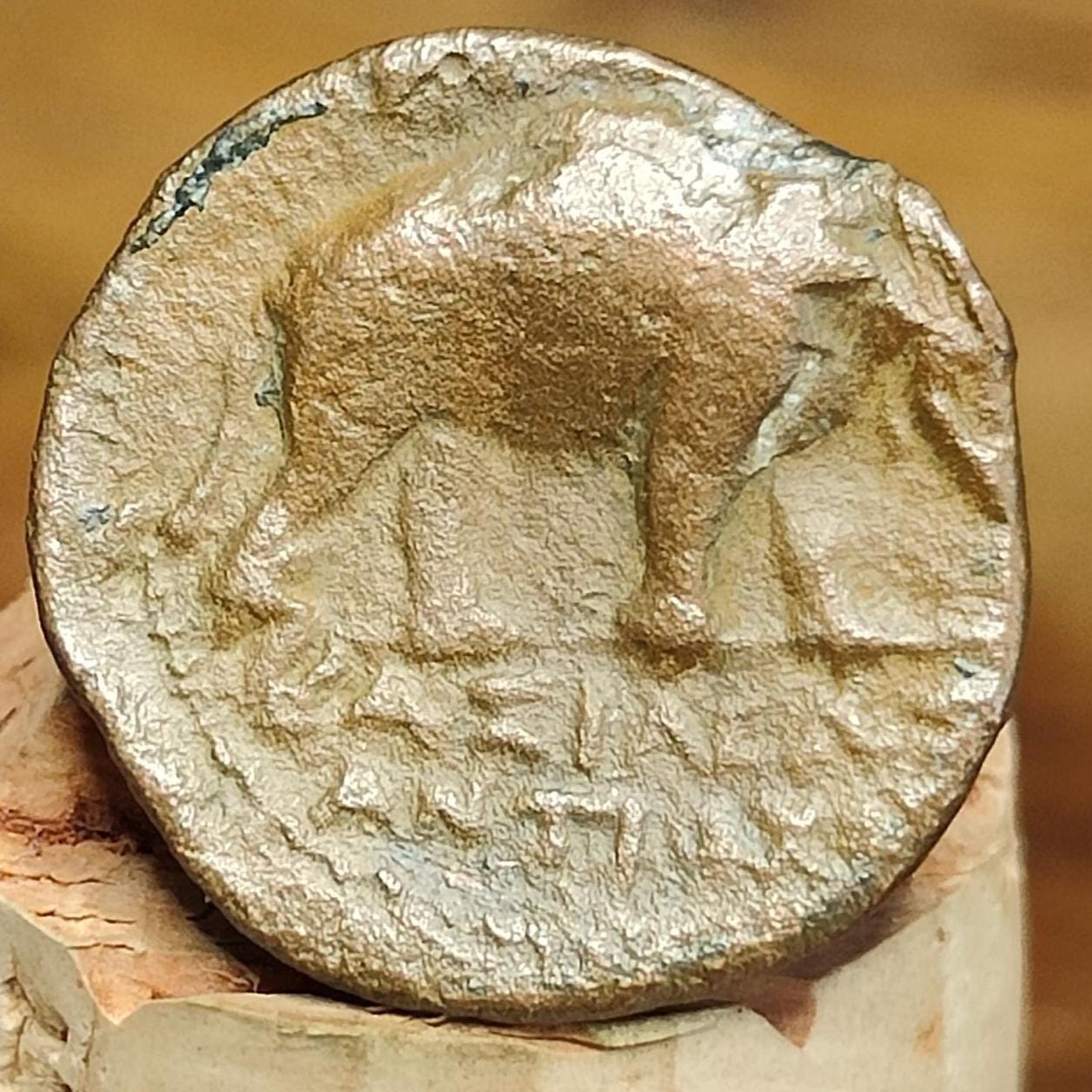 Macedonia, Shield and Elephant, Ancient Greek coin, 202-187 B.C