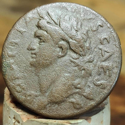 Domitian provincial issue Roman Coin, 81-96 AD, Antioch, Ancient Semis