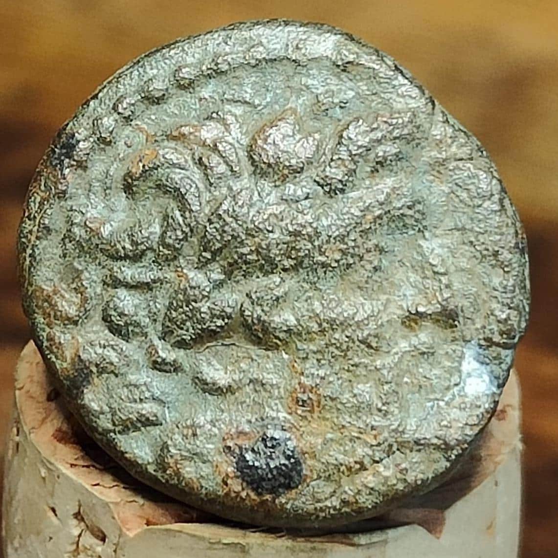 Ancient Greek Coin, Zeus and Ram, 27BC-14AD, Antioch, Ancient Semis