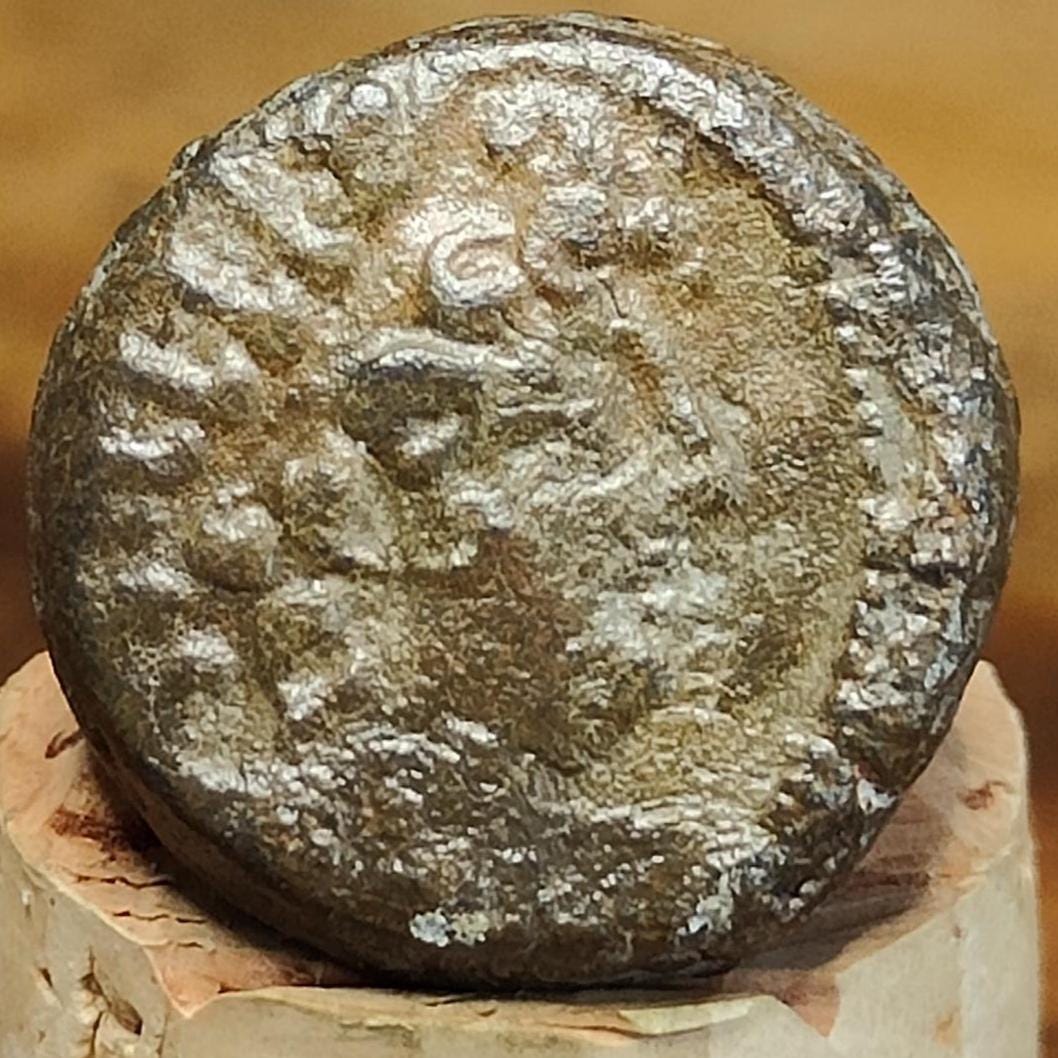 Antiochus VIII Epiphanes, Seleucid Kingdom, Ancient Greek coin 121-97 BC
