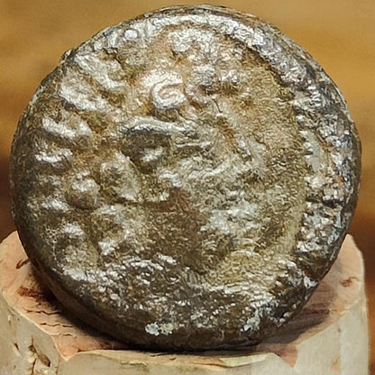 Antiochus VIII Epiphanes, Seleucid Kingdom, Ancient Greek coin 121-97 BC