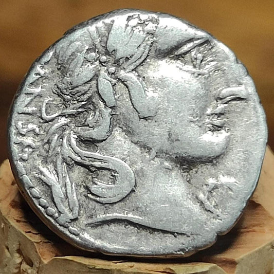 90-89BC Roman Republic Silver Denarius Gaius Vibius Pansa with Minerva reverse, Ancient roman coin