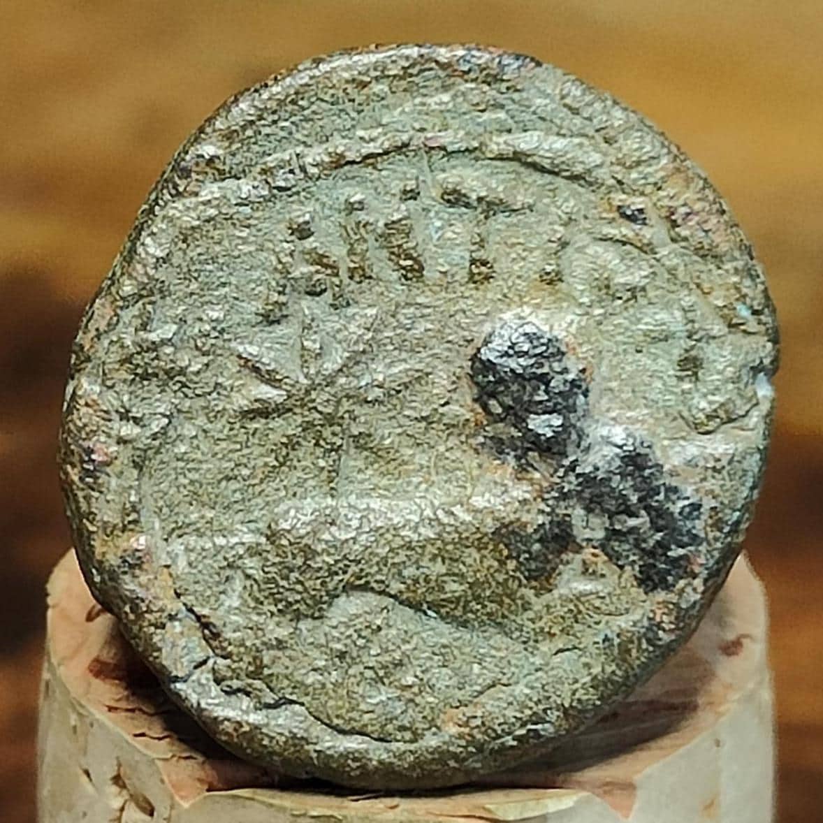 Ancient Greek Coin, Zeus and Ram, 27BC-14AD, Antioch, Ancient Semis