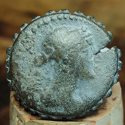 Seleukos IV, Seleukid Kingdom, Dionysos and Galley, Ancient Greek coin, 187-175 BC
