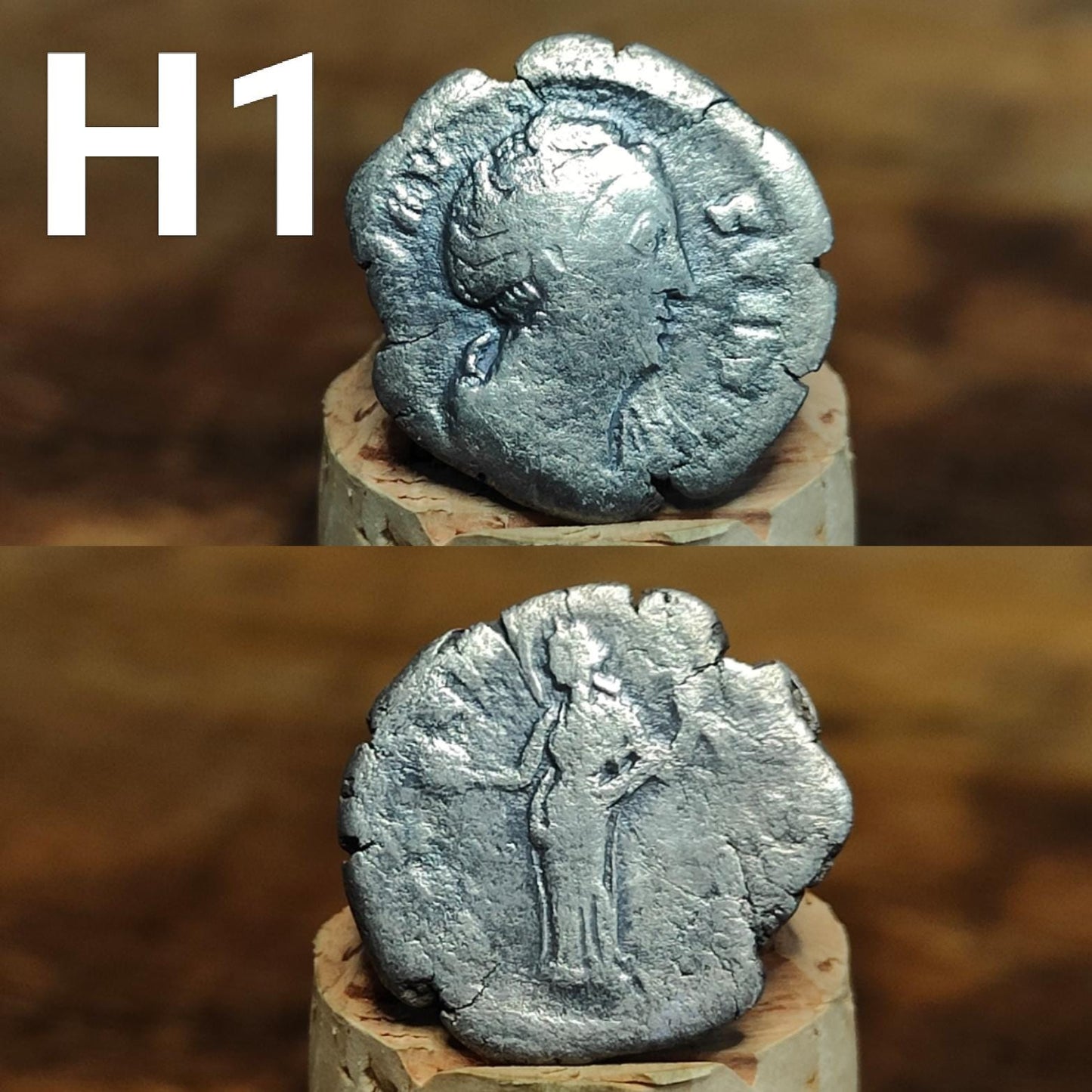 Roman Silver Denarius, Ancient roman coin