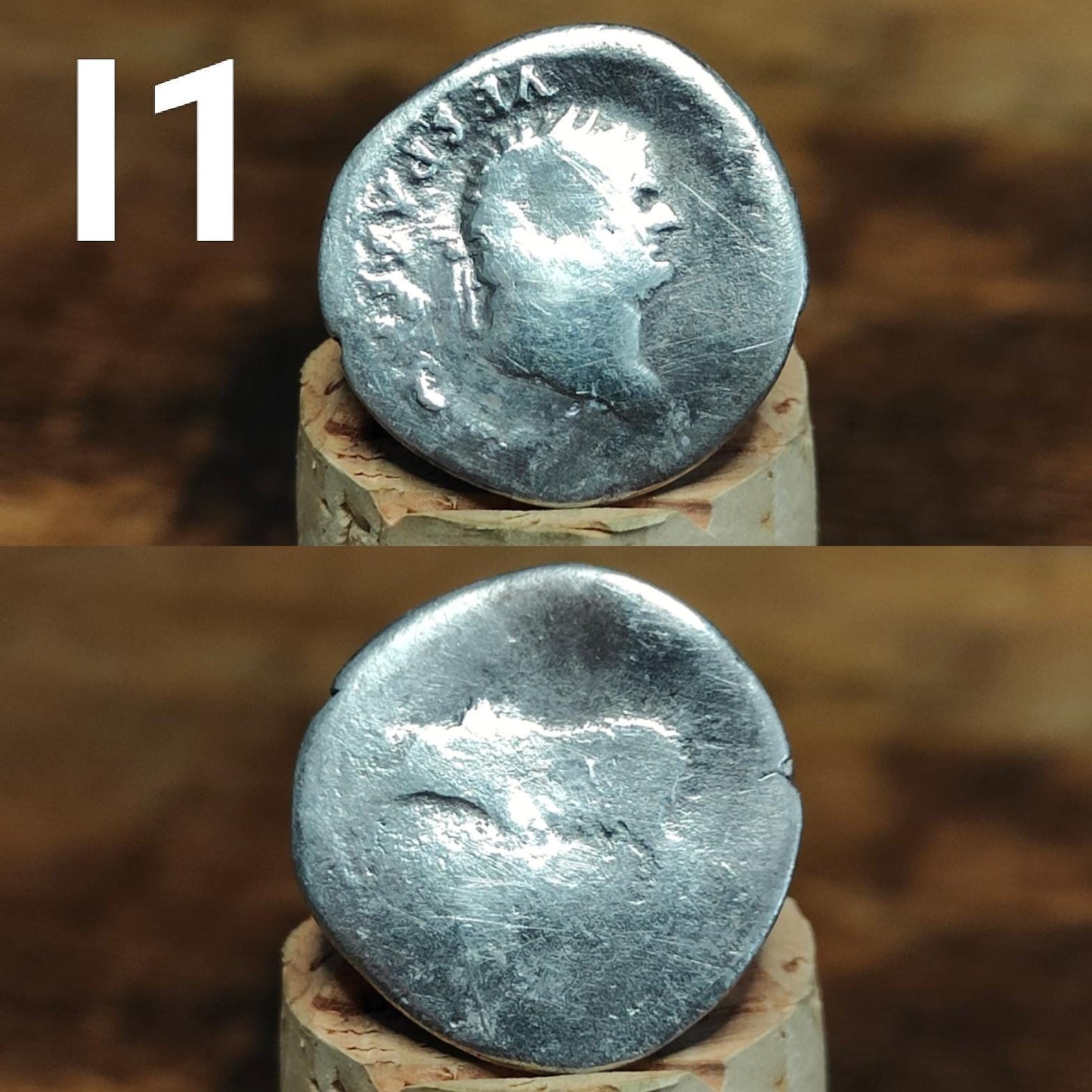 Roman Silver Denarius, Ancient roman coin