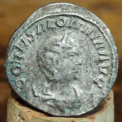 Salonina Antoninianus, Concordia reverse, 3rd century ancient Roman coin