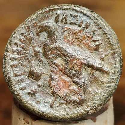 Ptolemy VI Ancient Egyptian coin with Zeus and eagle reverse, 180-170 BC