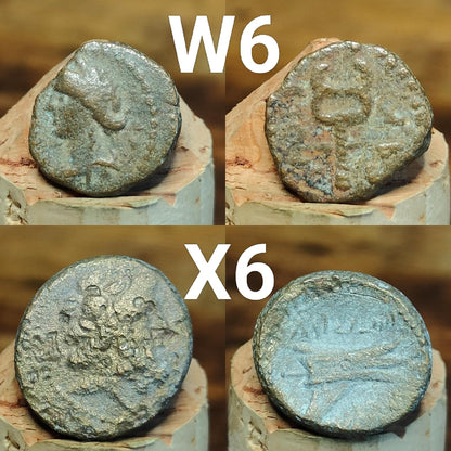 Ancient Greek coins, Genuine Nummus