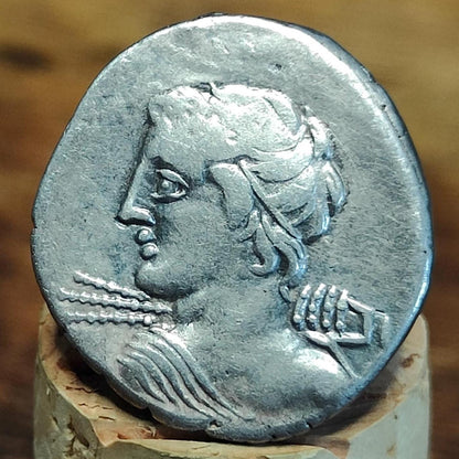 84BC Roman Republic Silver Denarius, C. Licinius L. f. Macer, with Apollo obverse, Ancient coin
