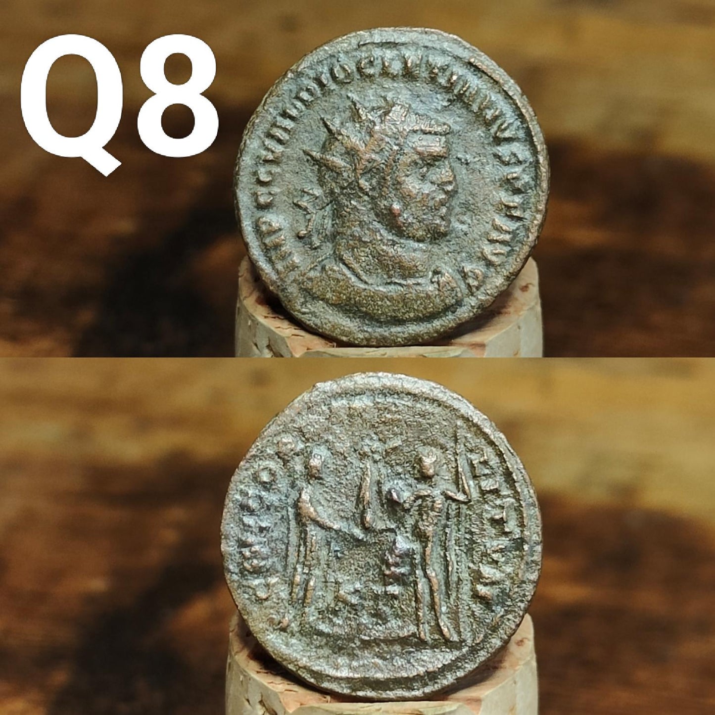 Cleaned Roman coins, ancient Nummus and Follis