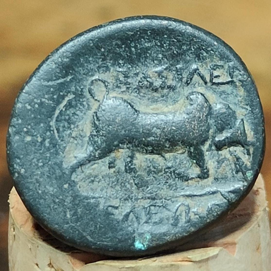 Seleukos I Nikator, Medusa & Bull, Seleukid Kingdom, Ancient Greek coin, 312-281 BC