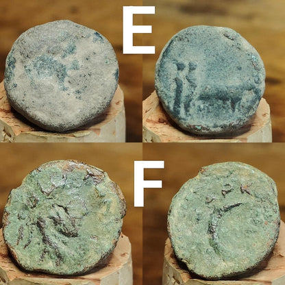 Bargain Ancient Greek coins, Genuine Nummus