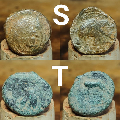 Bargain Ancient Greek coins, Genuine Nummus