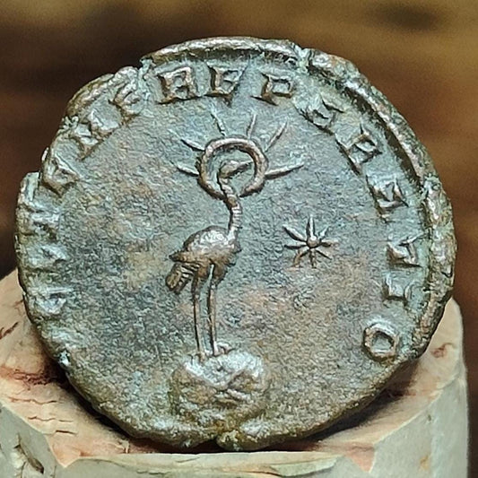 Constantius II Roman coin with Phoenix reverse, 337-361AD ancient Nummus