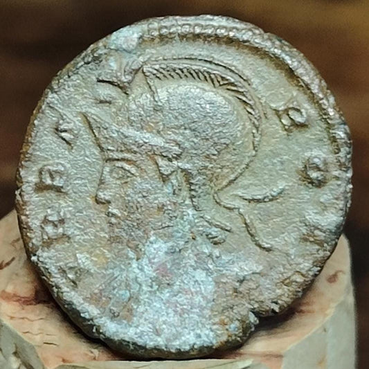 Roman commemorative coin with She Wolf reverse, ancient Nummus