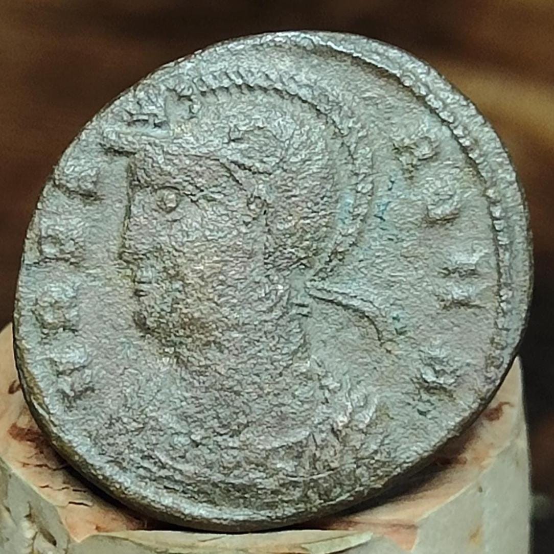 Roman commemorative coin with She Wolf reverse, ancient Nummus