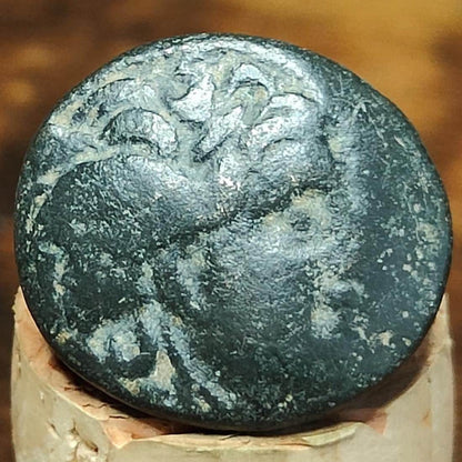Seleukos I Nikator, Medusa & Bull, Seleukid Kingdom, Ancient Greek coin, 312-281 BC