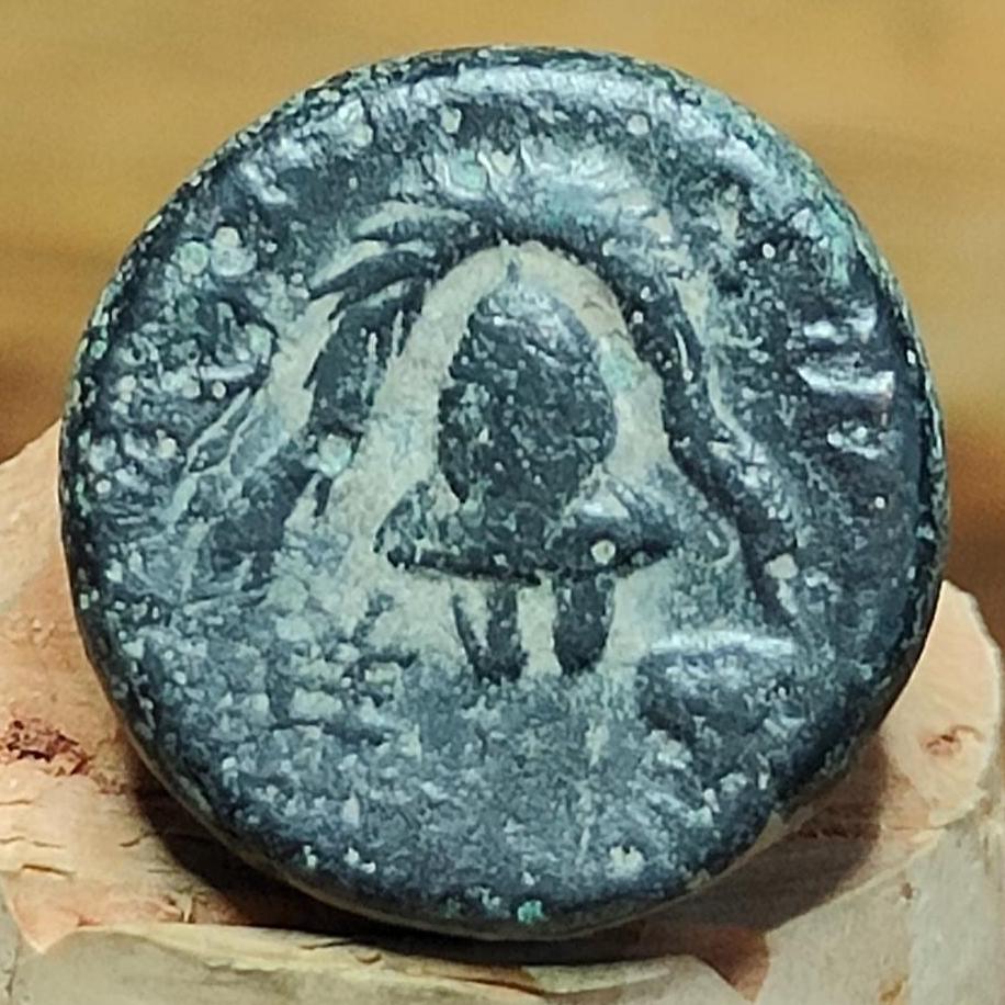 Alexander III the great, Shield and helmet, Ancient Greek coin, 325-302 BC