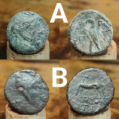 Bargain Ancient Greek coins, Genuine Nummus