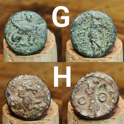 Bargain Ancient Greek coins, Genuine Nummus