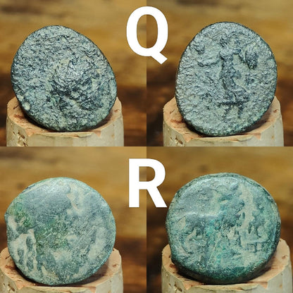 Bargain Ancient Greek coins, Genuine Nummus