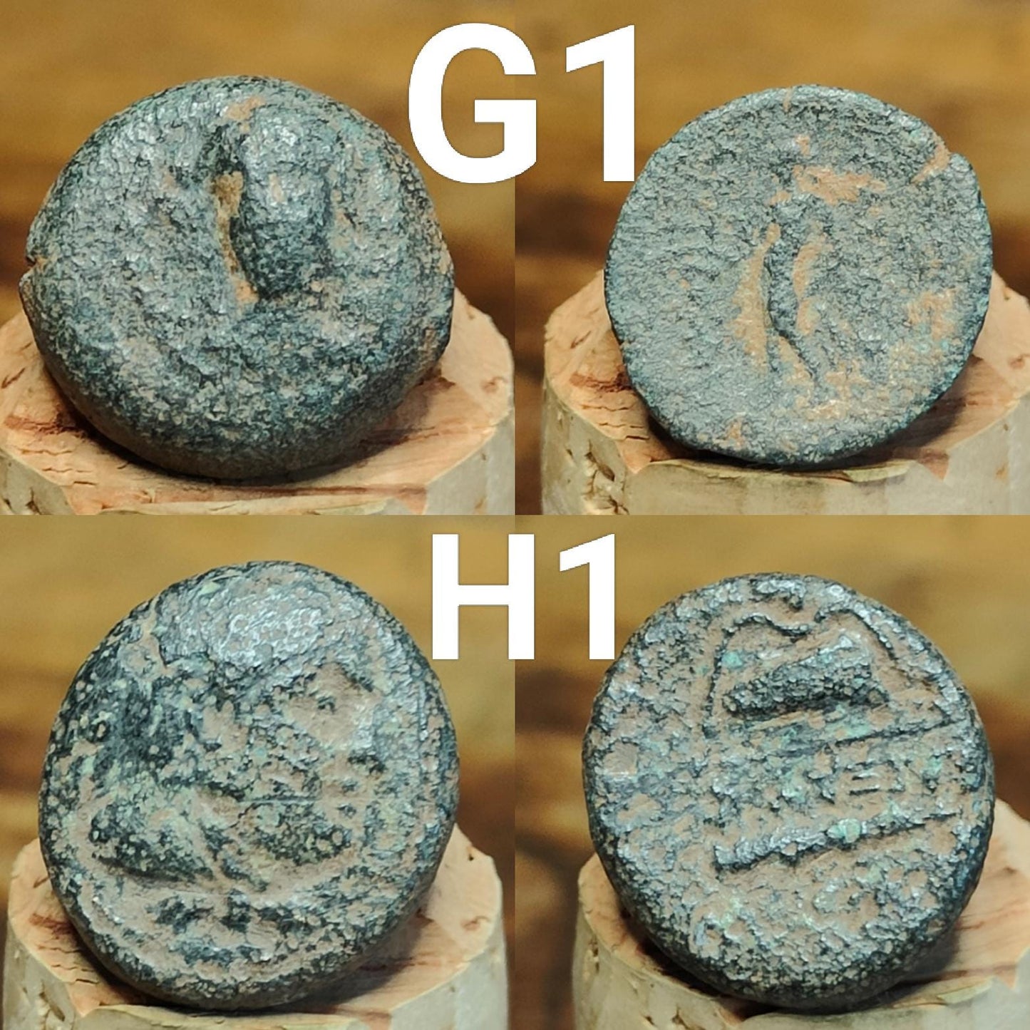 Bargain Ancient Greek coins, Genuine Nummus