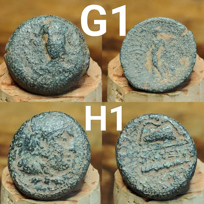 Bargain Ancient Greek coins, Genuine Nummus