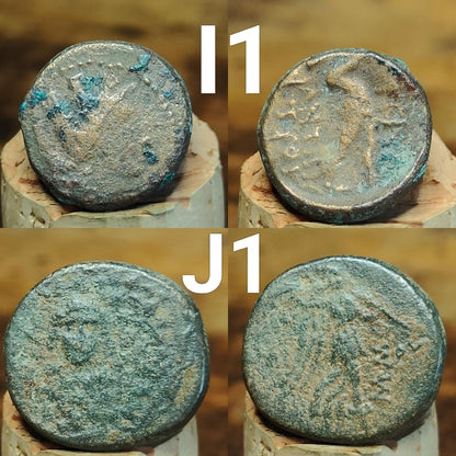 Bargain Ancient Greek coins, Genuine Nummus