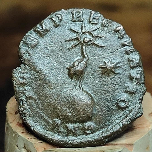 Constantius II Roman coin with Phoenix reverse, 337-361AD ancient Nummus