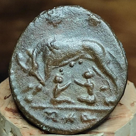 Roman commemorative coin with She Wolf reverse, ancient Nummus