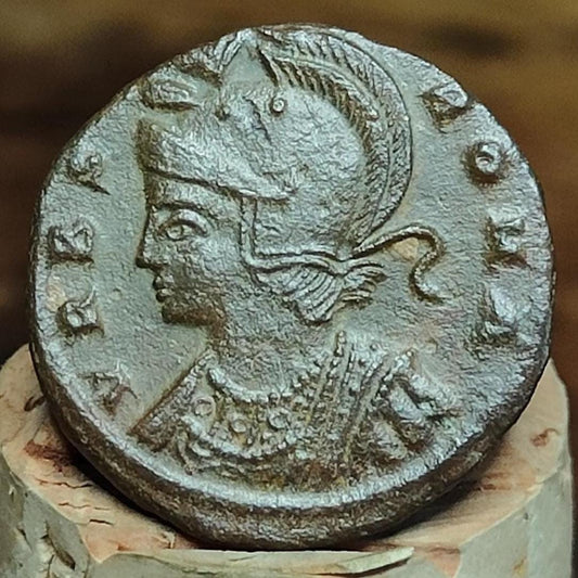 Roman commemorative coin with She Wolf reverse, ancient Nummus