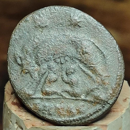 Roman commemorative coin with She Wolf reverse, ancient Nummus