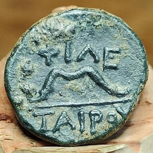 Mysia, Pergamon, Philetairos 282-263 BC, Athena/ Bow, Ancient Greek coin