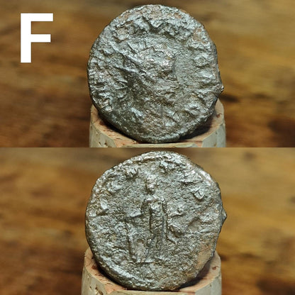 Cleaned Roman coins, ancient Nummus and Follis