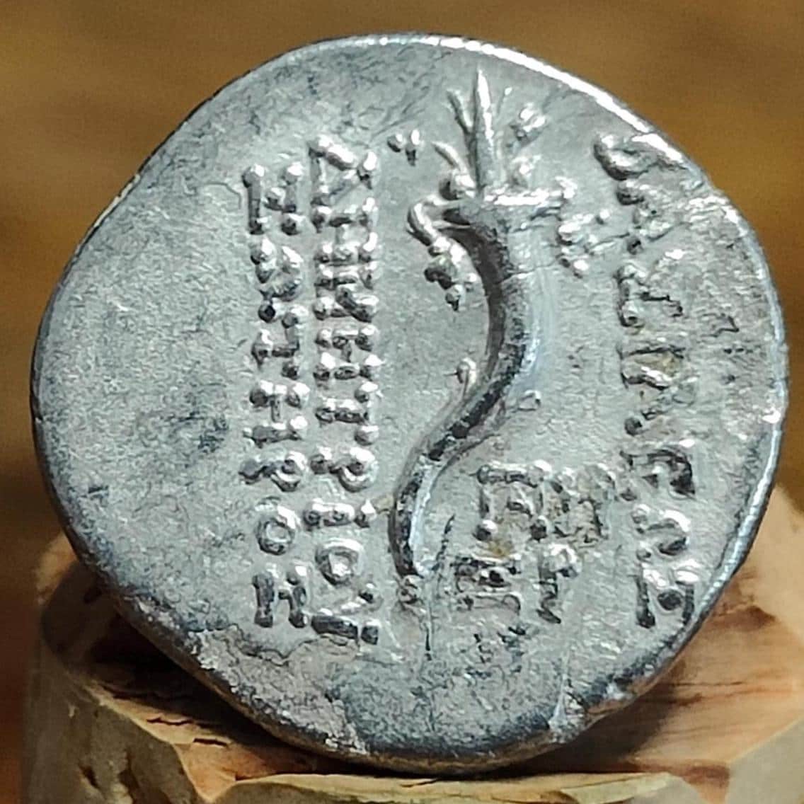 162-150 BC, Demetrios I Soter, Cornucopia reverse, Seleucid Empire, silver drachm, Ancient Greek coin