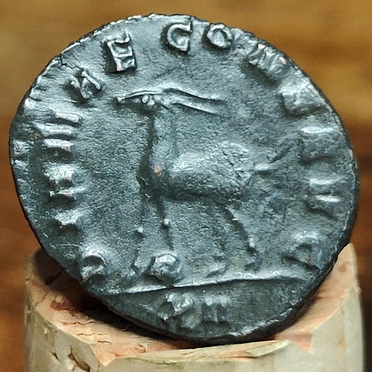 Gallienus Zoo series Antoninianus , Gazelle reverse, 253-268AD, 3rd century ancient Roman coin