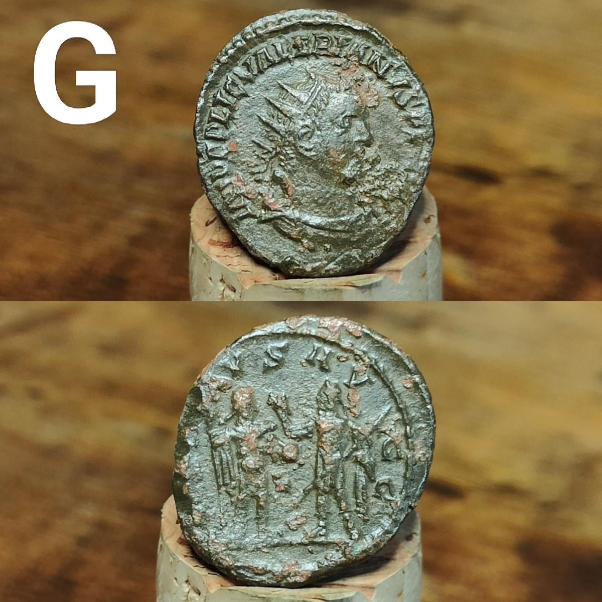 Cleaned Roman coins, ancient Nummus and Follis