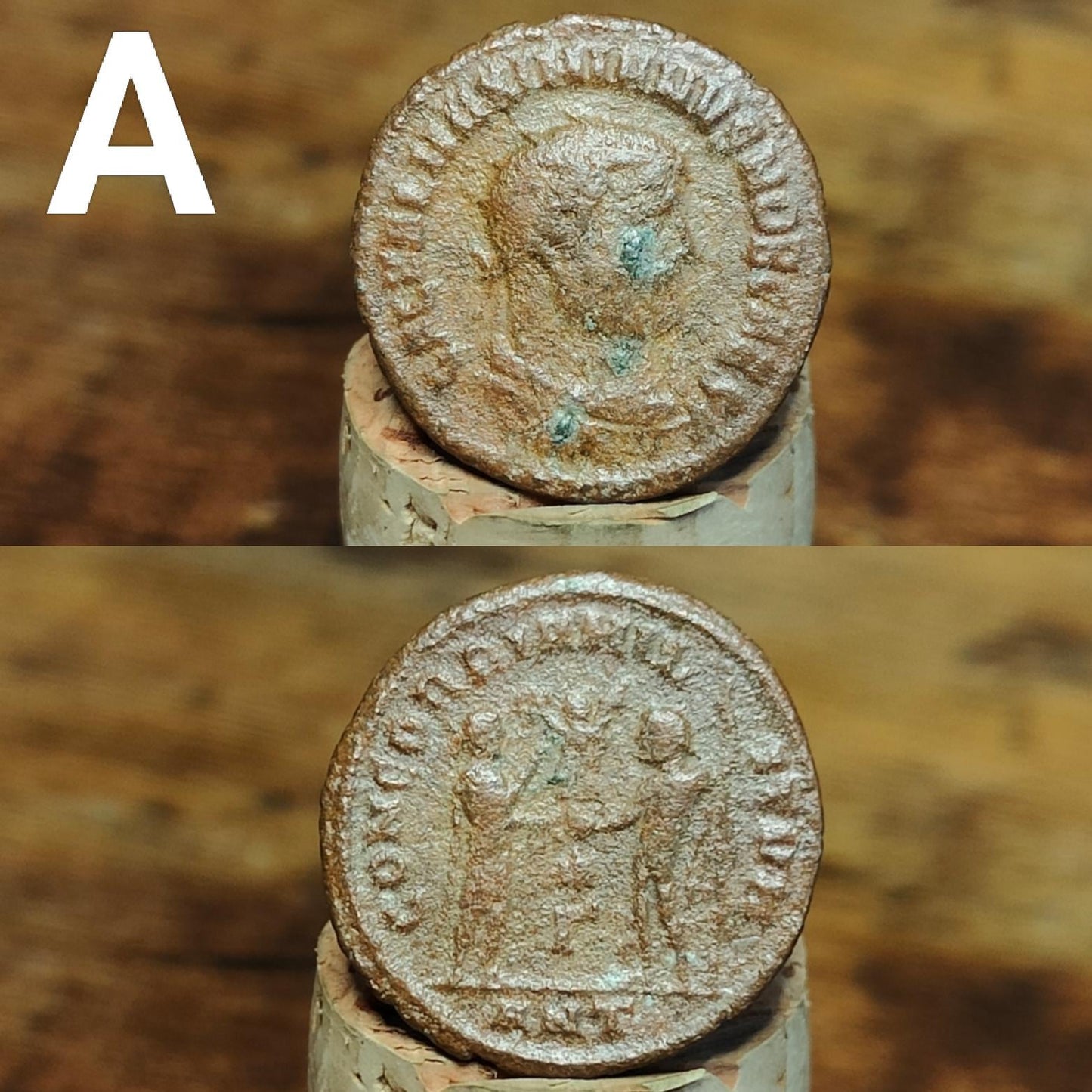 Cleaned Roman coins, ancient Nummus and Follis