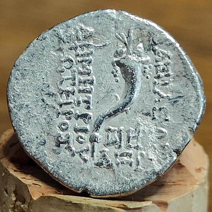 162-150 BC, Demetrios I Soter, Cornucopia reverse, Seleucid Empire, silver drachm, Ancient Greek coin