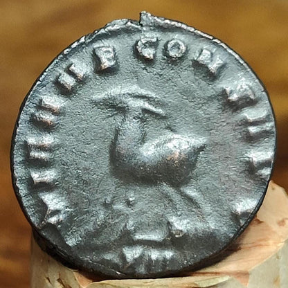 Gallienus Zoo series Antoninianus , Gazelle reverse, 253-268AD, 3rd century ancient Roman coin