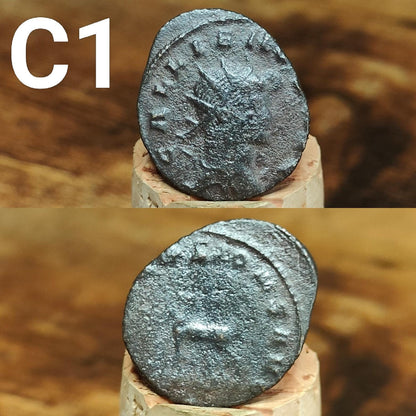Ancient Roman coins, 3rd century ancient Antoninianus, 1700 years old