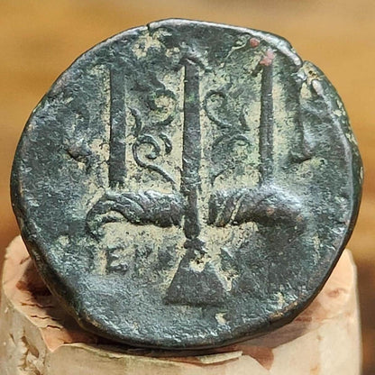 Hieron II, Poseidon and Trident, Sicily. Syracuse, 275-215 BC, Ancient Greek coin