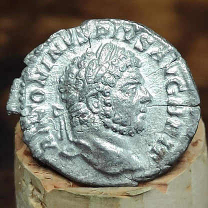Caracalla Silver Denarius with Salus reverse, 198-217AD, Ancient roman coin