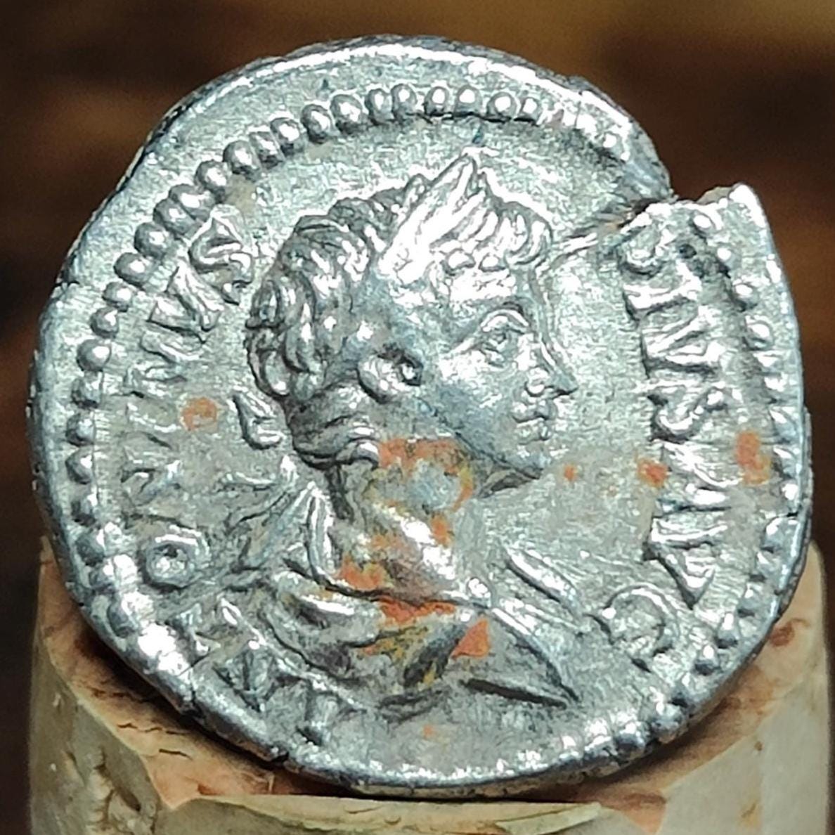 Caracalla Silver Denarius with Riding Lion reverse, 198-217AD, Ancient roman coin