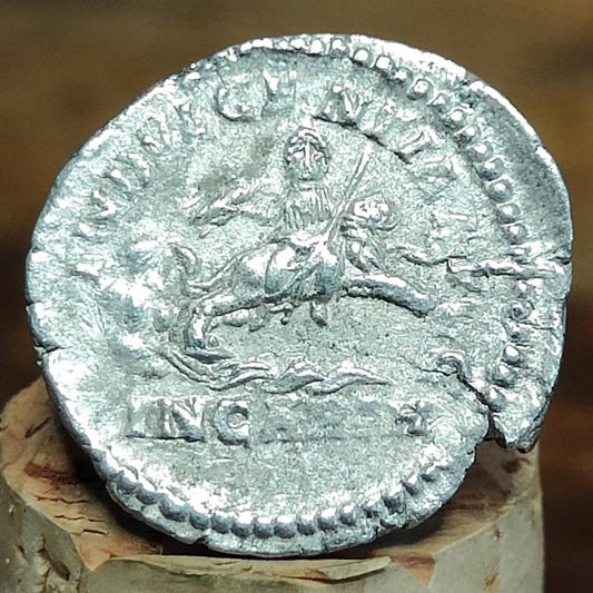 Caracalla Silver Denarius with Riding Lion reverse, 198-217AD, Ancient roman coin