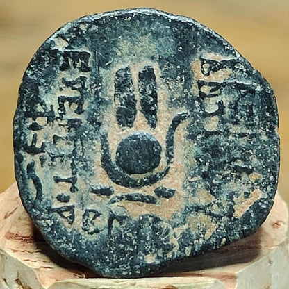 Antiochus VII Euergetes, Seleucid Kingdom, Ancient Greek coin 138-129 BC