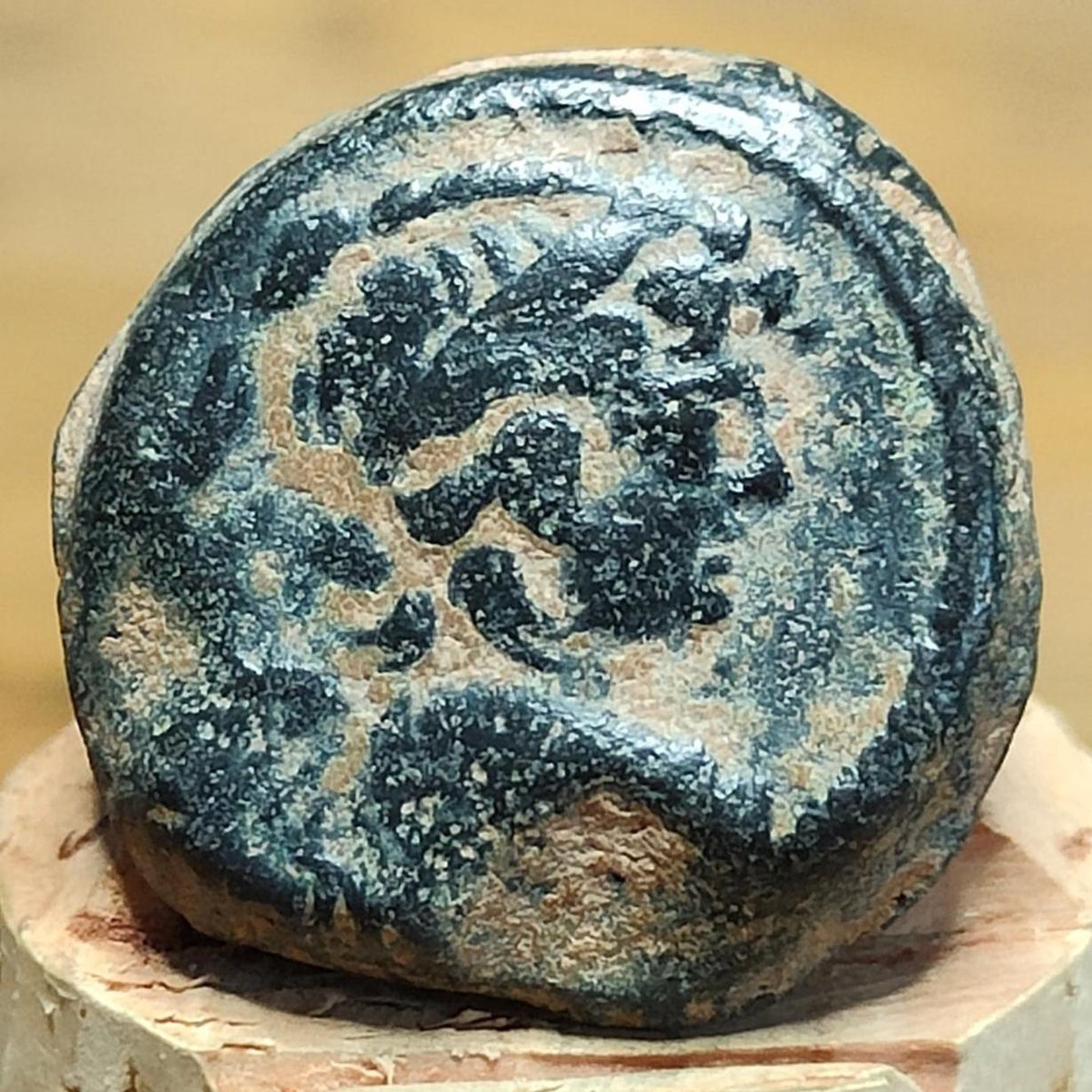 Antiochus VII Euergetes, Seleucid Kingdom, Ancient Greek coin 138-129 BC
