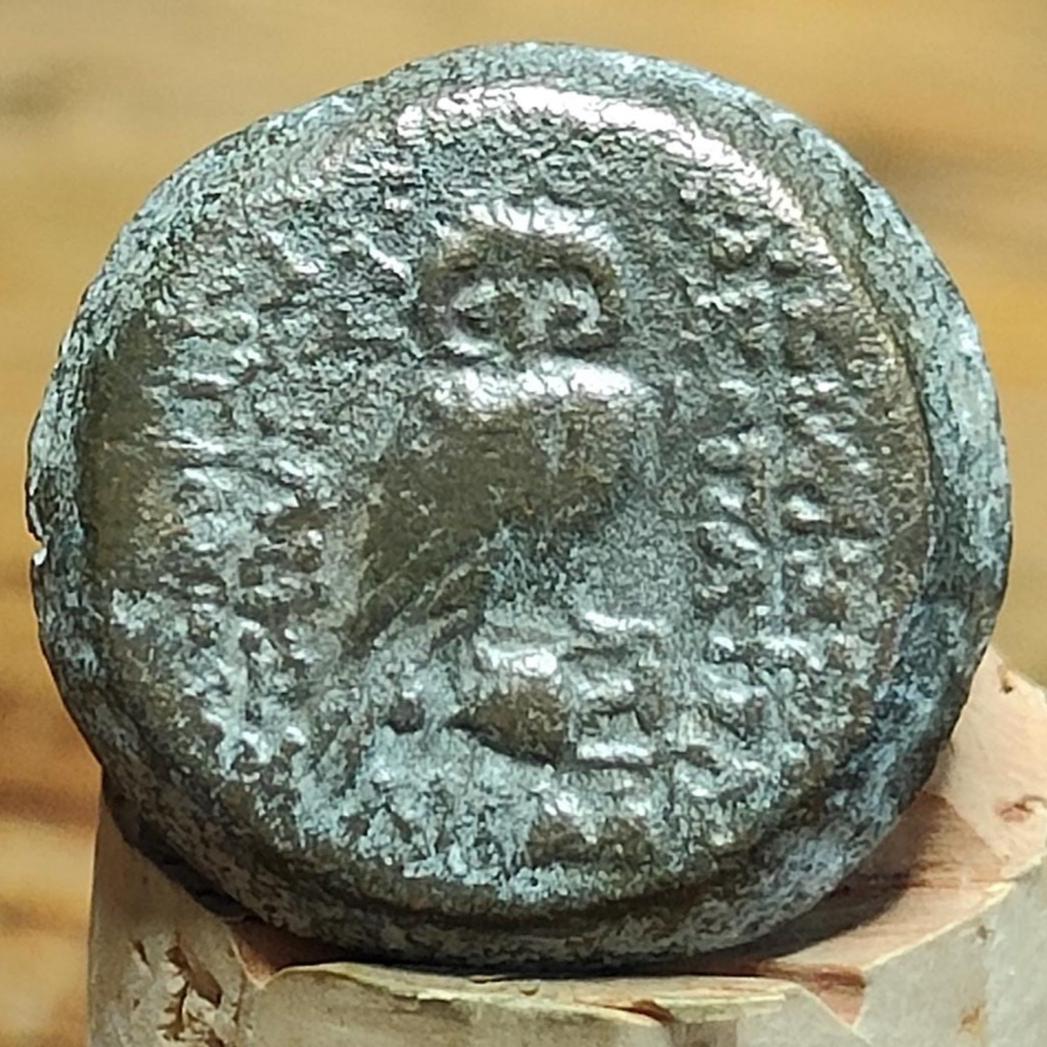 Antiochus III and Cleopatra Thea, Æ, 125-121 BC, Ancient Greek coin