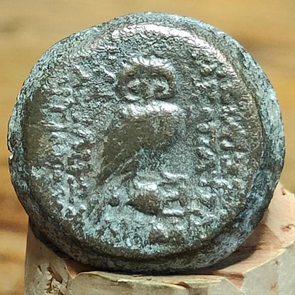 Antiochus III and Cleopatra Thea, Æ, 125-121 BC, Ancient Greek coin